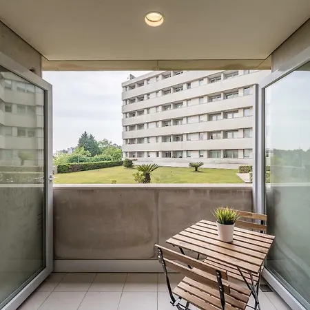 Tpc Iridscent Flats